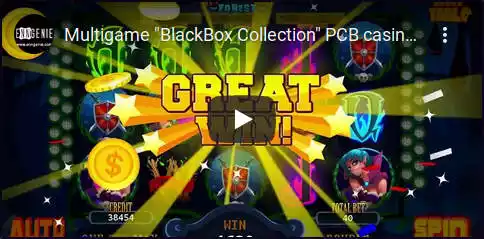 play video blackbox