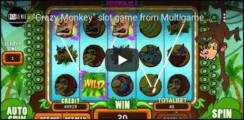 play video crazy monkey